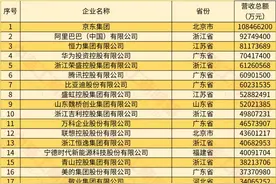 14家闽企上榜！2024中国民营企业500强公布图片
