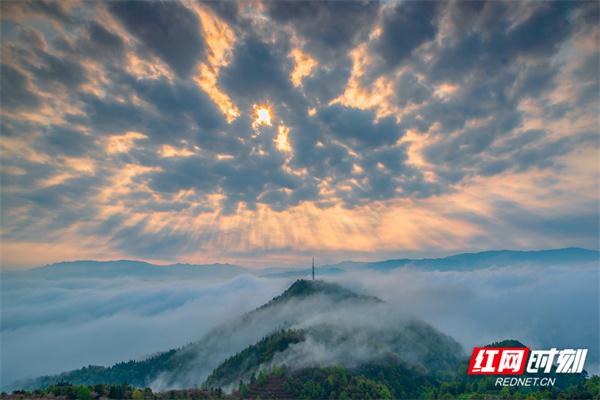 湖南洪江区：云端之上，定格云海日出的诗意画卷