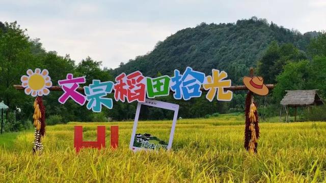 太火爆！几乎订满！有的已售罄