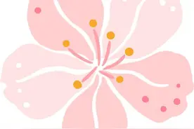 长沙花海！约吗？图片