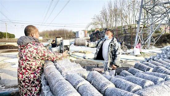 光影中的三门峡（561）