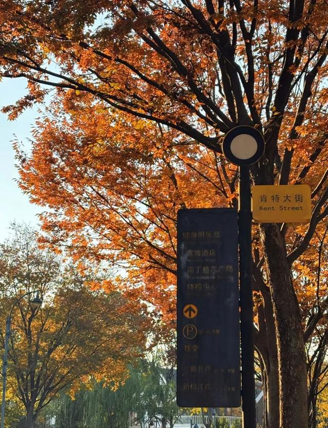 松江秋景开挂！5个宝藏地的红黄皮肤，限时上线！