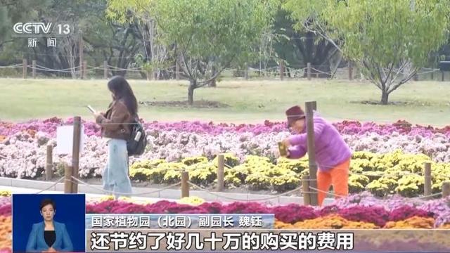 落叶如何变废为宝？各地巧妙“加工”留住秋日浪漫