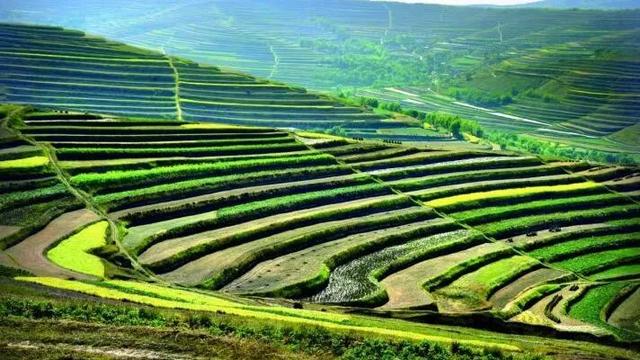 辞家千里，定西是游子地图上最柔软的坐标