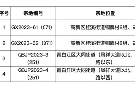 成都13.9亿元成交4宗住宅用地，高新区两宗地块溢价成交图片