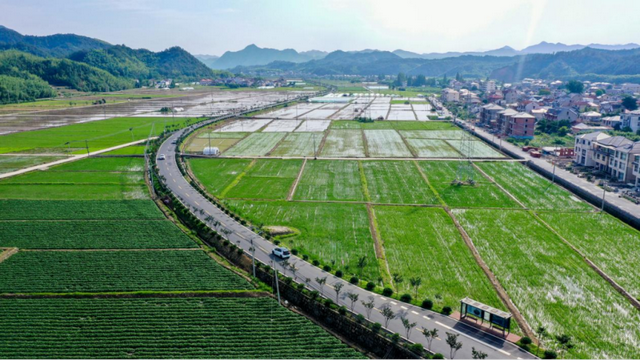 驾游浙江 | 自驾新宠！探秘天目山，这条环山公路美成仙境