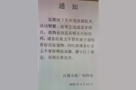 长春一小区通知将对地下车库流浪猫投药，物业：并未展开实际行动，是为了警醒遛狗业主图片