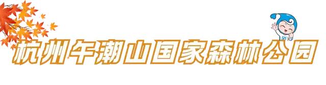 体荟四季｜秋日遛娃去哪？答案藏在这5座森林公园里