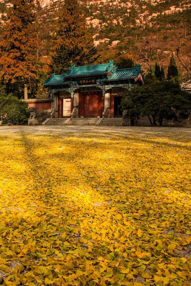 这10条冬游青岛线路，藏着N种浪漫！