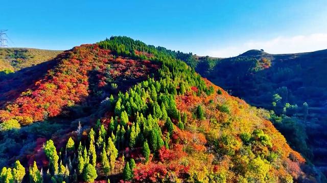 济南市莱芜区：千亩红叶“染”出文旅新画卷