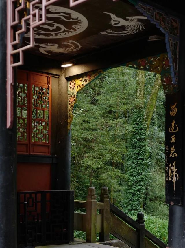 青城山｜与自然对话的日与夜。