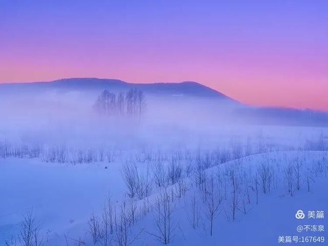 冷极秘境——2025年呼中的冬雪魅景