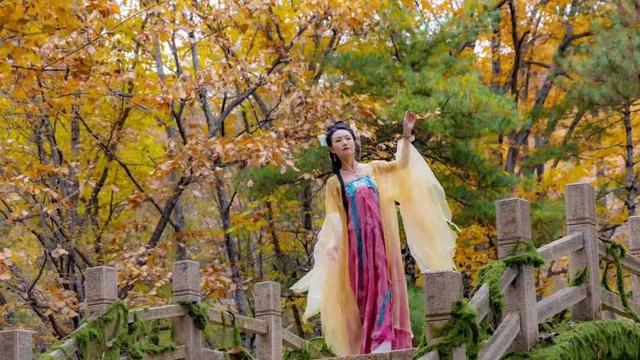 免门票福利！白云山绝美秋色正在上映→