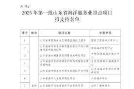 55个入选！2025年首批山东省海洋服务业重点项目拟支持名单公示图片
