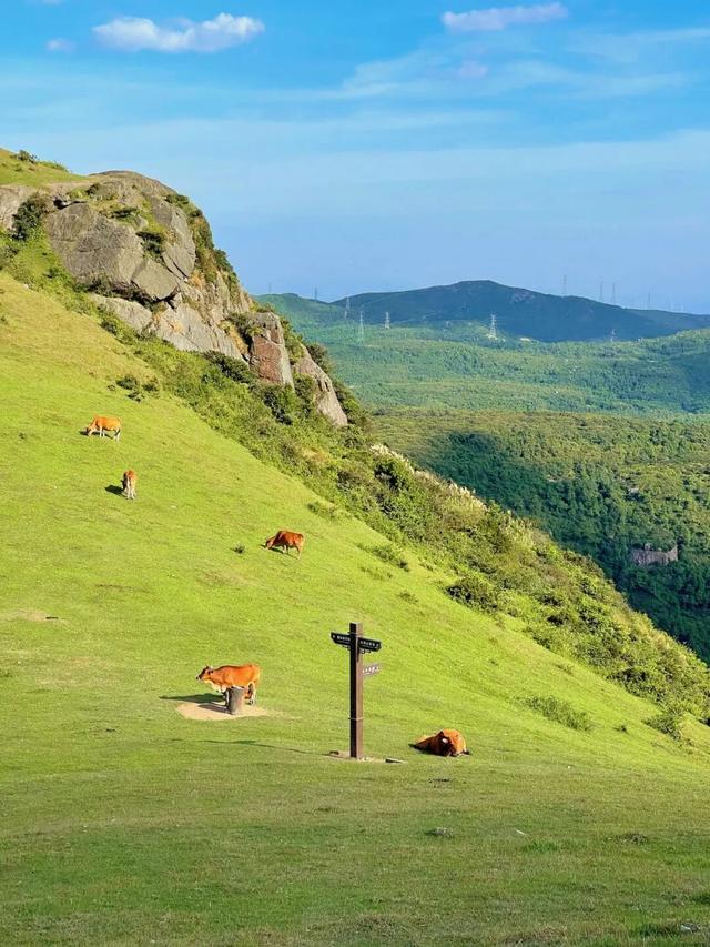 这个周末一定要“营”！