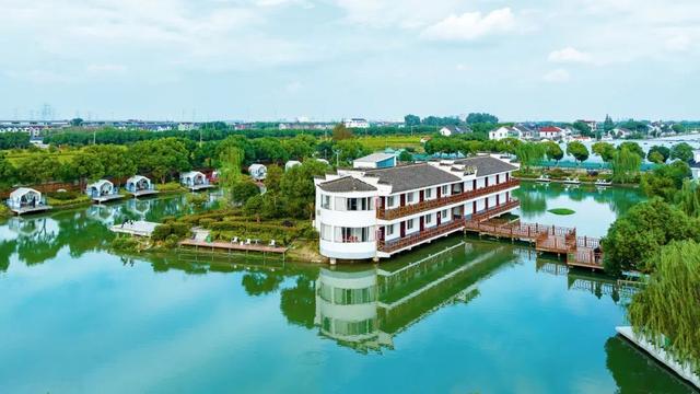 碧水黛瓦织锦绣！这个上海小镇，把江南诗篇写进了现实