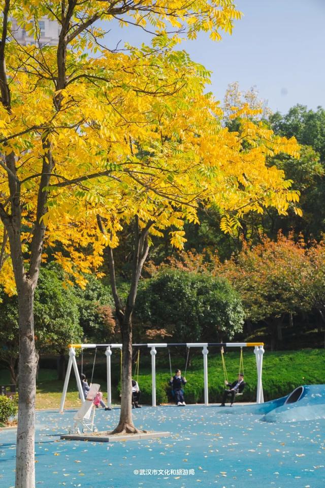实况！武汉彩叶季来了，这些地方最出片