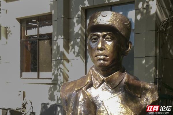 岁暖时刻丨株洲市市中心的“文化绿洲”，叠满文化buff的公园