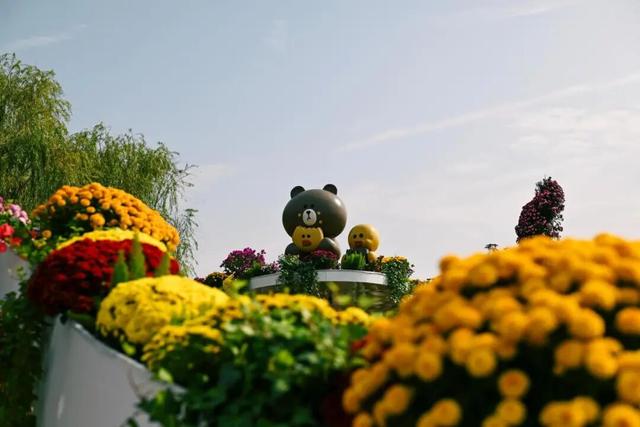 坐地铁，打卡武汉第42届金秋菊展