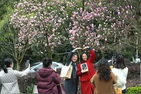 最高温冲上21℃！周末重庆阳光较好图片