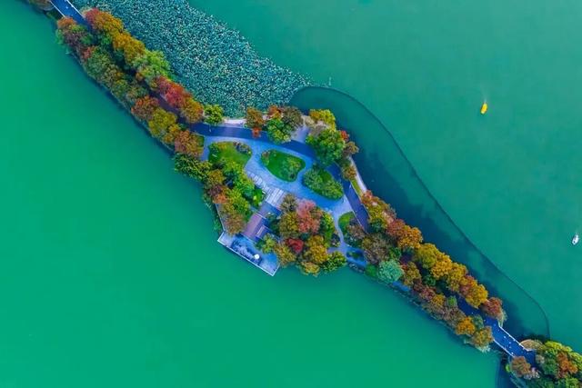 秋意渐浓，玄武湖台菱堤已“上妆”