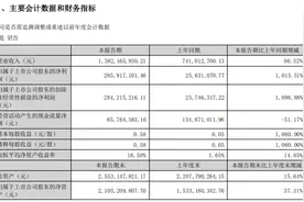 V观财报｜正丹股份半年净利飙涨超10倍，股价年内涨近400%图片