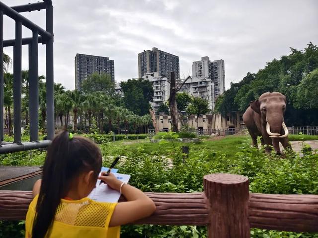 自然、城市与文化的相遇！ 重庆青少年研学之旅收获满满