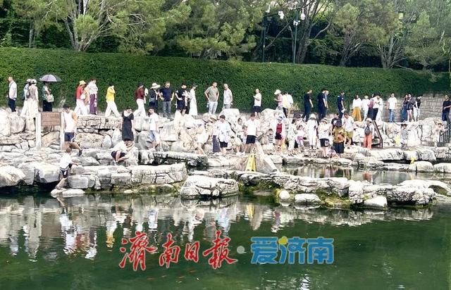 一年四季 泉在济南丨暑假进入后半程 泉水游热度不减