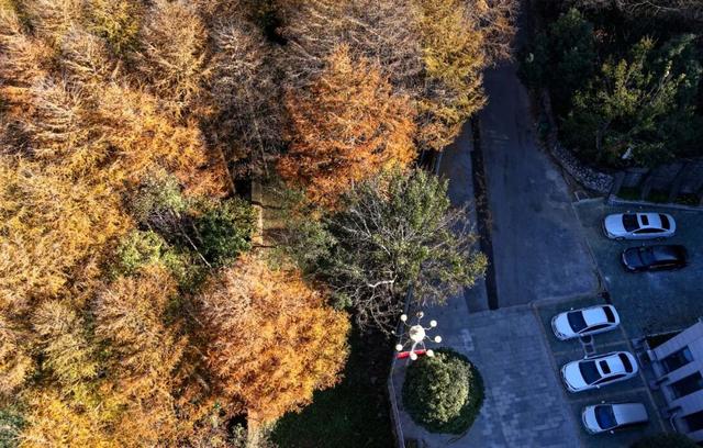 高光频现，火爆出圈！就在巢湖这里…