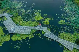 露营+采茶+疗愈，仙鹤湖为您提供N种遇见春天的方式图片