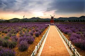 读城记·日照|家在莒县    情在莒县图片