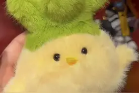 撒贝宁元宵晚会上讲武汉话冲上热搜！“蒜鸟”卖断货了图片