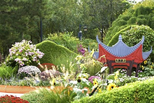 今日重阳，这个食物今天一定要吃！