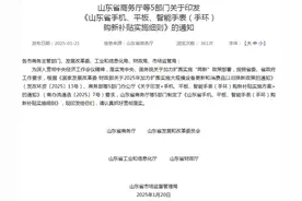 @山东人：每件最高补贴500元！手机、平板、智能手表（手环）购新补贴政策来了图片