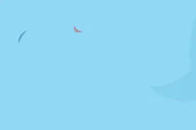 泉州最新发布：交通管制！图片