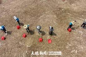 小小山核桃 结出致富果！锦屏县打造特色产业 做实“有机”文章图片