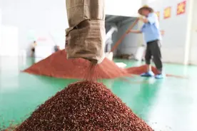 花椒贴肚脐能养生？专家：适合体质偏寒的人图片