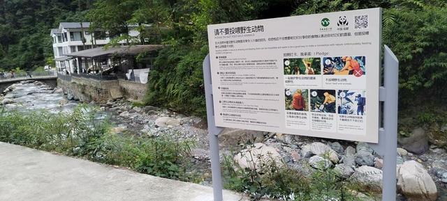 游客被猴子咬伤？大飞水景区回应：已第一时间处理并增加巡查人员驱赶