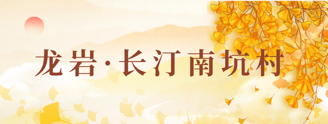 八闽秋冬，藏着一片金色童话