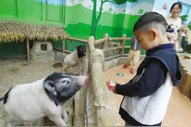 六一儿童节去哪儿玩？ 这份“打卡指南”带你解锁专属亲子时光图片