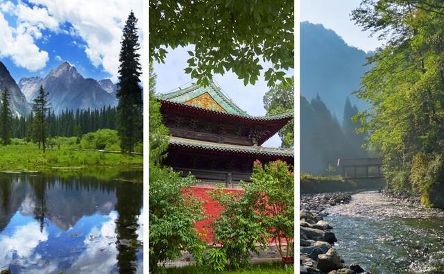 乐游绵阳 清凉一夏 ‖ 立秋已过，平武多了几分“姿色”！云海、花海、森林与田园的诗意交响~