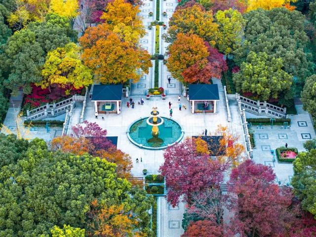 秋冬限定的普陀，美到让人流连忘返，你还不来打卡吗？