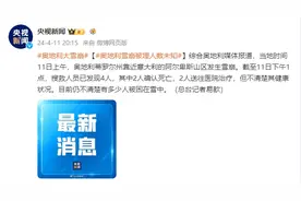 突发！奥地利发生雪崩已致2人死亡，被埋人数未知图片