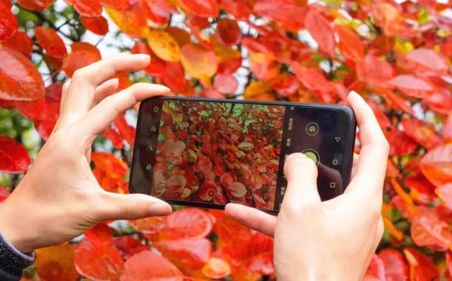 2025保康秋游季，邀您共赏山色如画