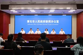 大冶（武汉）离岸科创中心依托4所高校，攻克15项“卡脖子”难题图片