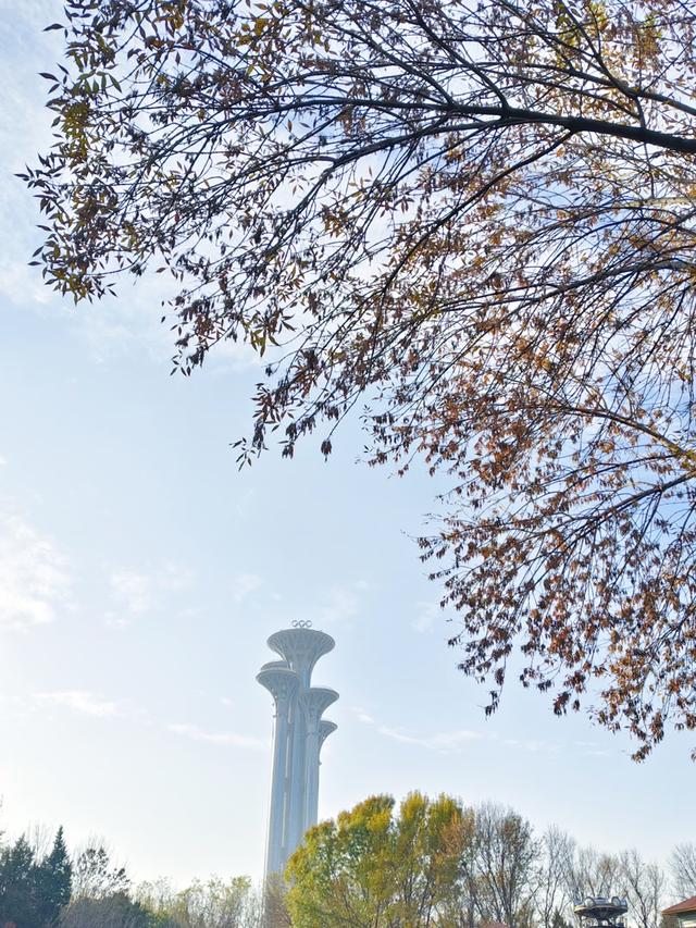 秋深冬浅时，奥森浸染缤纷色彩