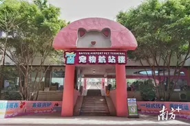 广州白云机场开设全国首个宠物航站楼，5月起将正式对外开放图片