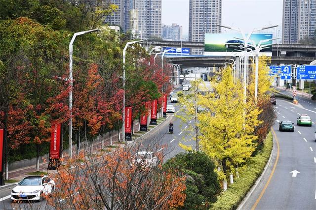 贵阳：初冬时节好风景