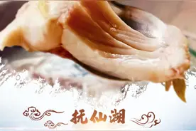 冬暖花开游云南：打卡抚仙湖“暖冬”渔趣图片