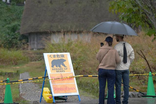 不敢去日本的游客，被现实版“熊出没”吓坏了